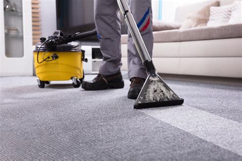 Look no further: Magic carpet cleaning is just a click away